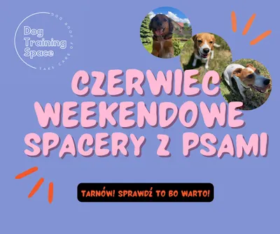 Dog Training Space Tarnów